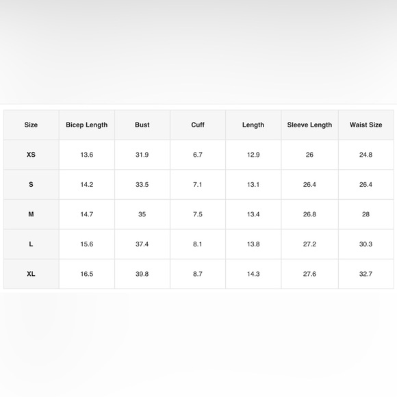 Velvet Sweetheart Neck Lantern Sleeve Top - Picture 10 of 10